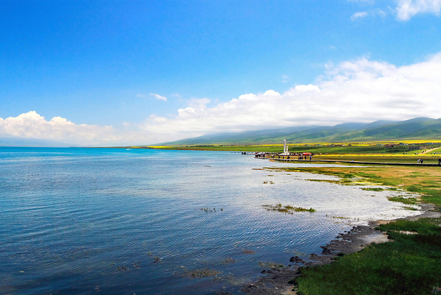 Qinghai Lake - Shafqat Writes