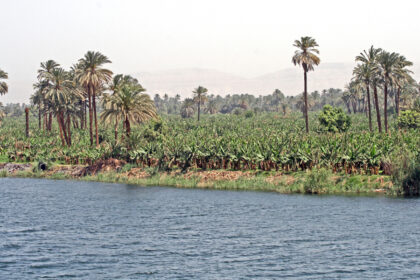 River Nile Kashgar - Shafqat Writes