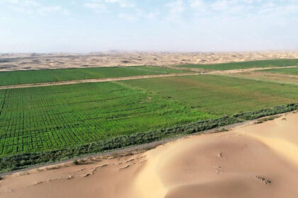 Agriculture in Desert Country - Shafqat Writes