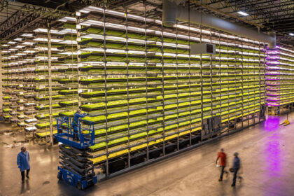 Vertical Farms Abu Dhabi Shafqat Writes